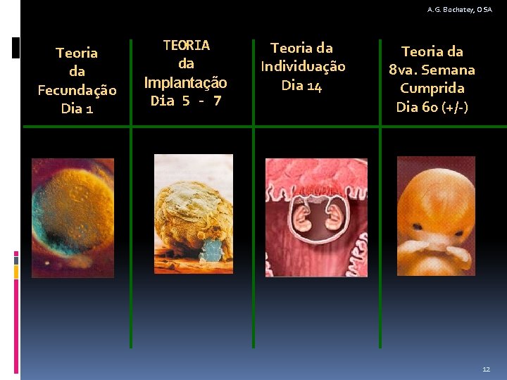 A. G. Bochatey, OSA Teoria da Fecundação Dia 1 TEORIA da Implantação Dia 5