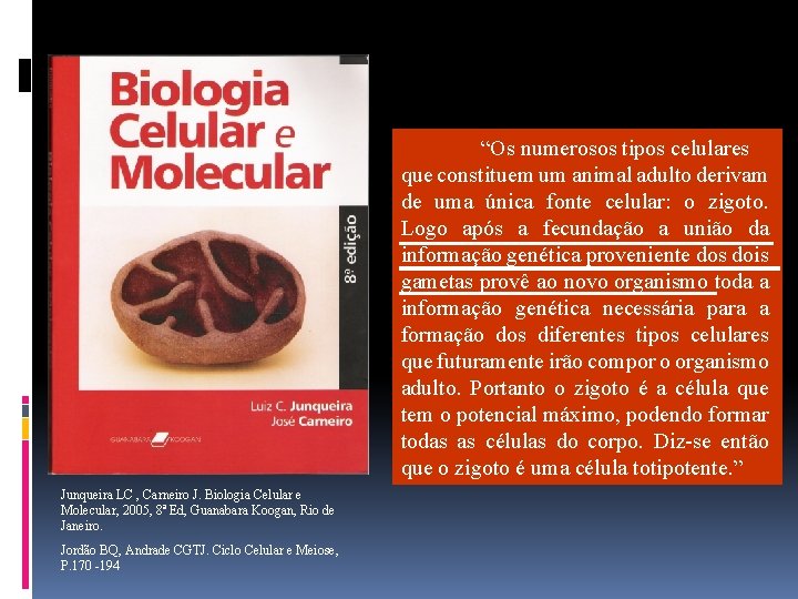 “Os numerosos tipos celulares que constituem um animal adulto derivam de uma única fonte