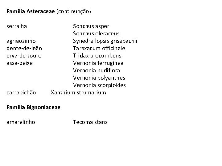 Família Asteraceae (continuação) serralha agriãozinho dente-de-leão erva-de-touro assa-peixe carrapichão Sonchus asper Sonchus oleraceus Synedrellopsis