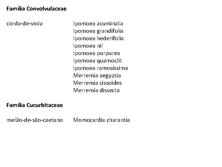 Família Convolvulaceae corda-de-viola Ipomoea acuminata Ipomoea grandifolia Ipomoea hederifolia Ipomoea nil Ipomoea purpurea Ipomoea