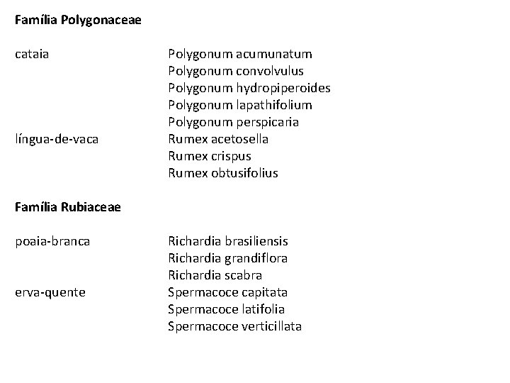 Família Polygonaceae cataia língua-de-vaca Polygonum acumunatum Polygonum convolvulus Polygonum hydropiperoides Polygonum lapathifolium Polygonum perspicaria