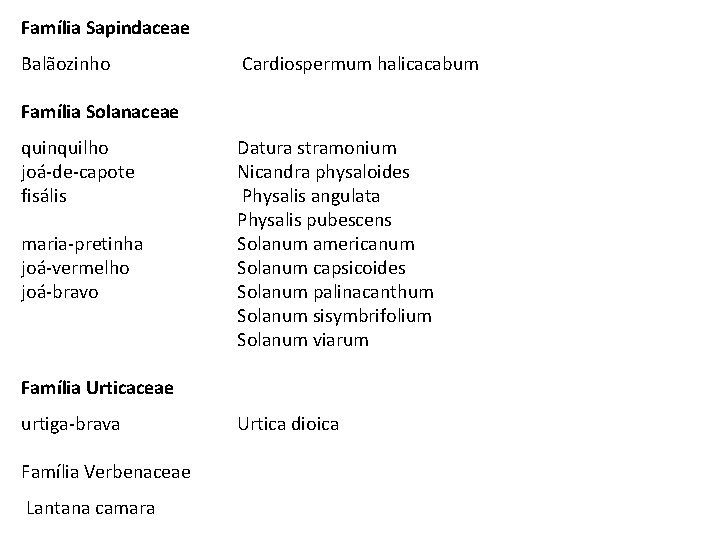 Família Sapindaceae Balãozinho Cardiospermum halicacabum Família Solanaceae quinquilho joá-de-capote fisális maria-pretinha joá-vermelho joá-bravo Datura