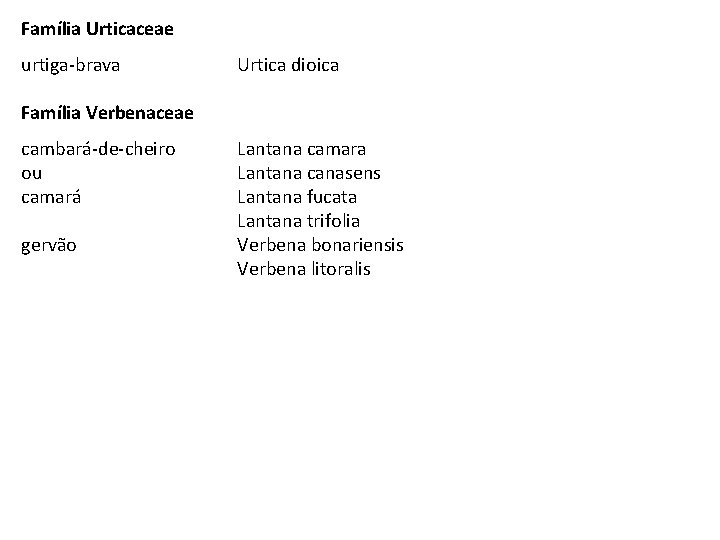 Família Urticaceae urtiga-brava Urtica dioica Família Verbenaceae cambará-de-cheiro ou camará gervão Lantana camara Lantana