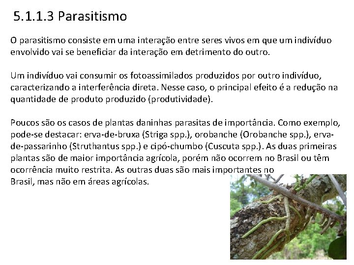 5. 1. 1. 3 Parasitismo O parasitismo consiste em uma interação entre seres vivos