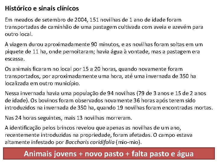 Histórico e sinais clínicos Em meados de setembro de 2004, 151 novilhas de 1