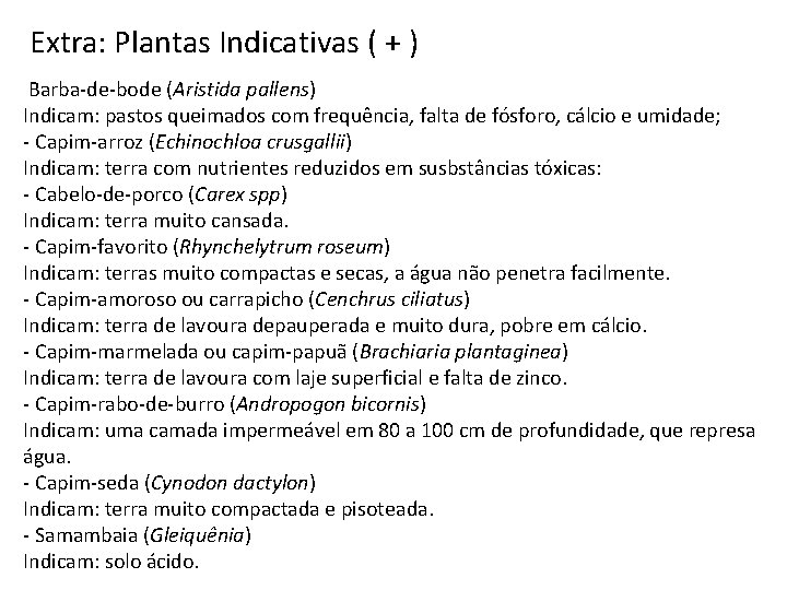 Extra: Plantas Indicativas ( + ) Barba-de-bode (Aristida pallens) Indicam: pastos queimados com frequência,