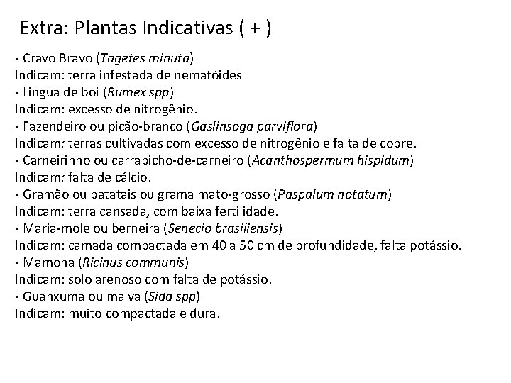 Extra: Plantas Indicativas ( + ) - Cravo Bravo (Tagetes minuta) Indicam: terra infestada