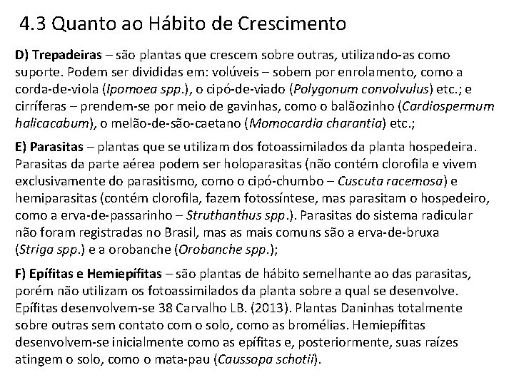 4. 3 Quanto ao Hábito de Crescimento D) Trepadeiras – são plantas que crescem