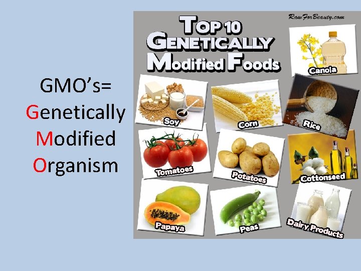 GMO’s= Genetically Modified Organism 