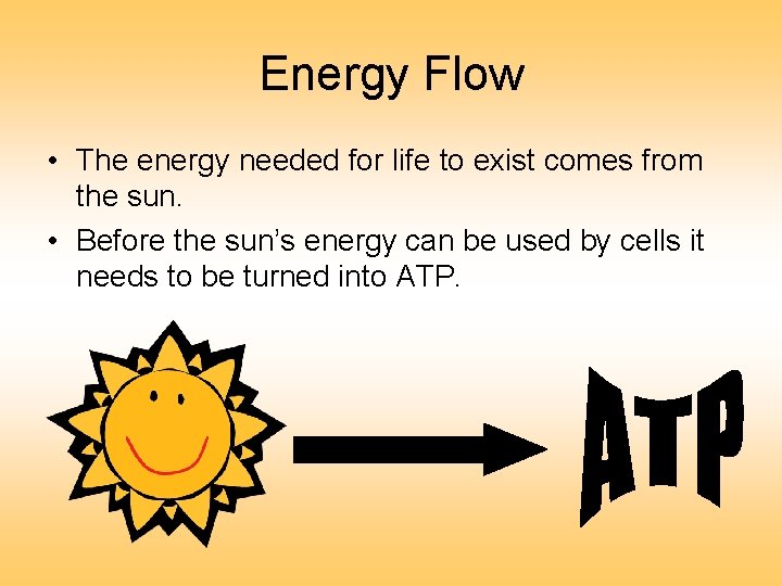 Energy Flow • The energy needed for life to exist comes from the sun.