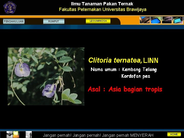 Ilmu Tanaman Pakan Ternak Fakultas Peternakan Universitas Brawijaya PENDAHULUAN RUMPUT LEGUMINOSA Jangan pernah! Jangan