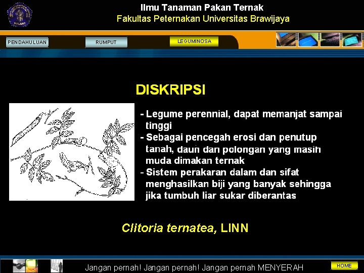 Ilmu Tanaman Pakan Ternak Fakultas Peternakan Universitas Brawijaya PENDAHULUAN RUMPUT LEGUMINOSA Clitoria ternatea, LINN