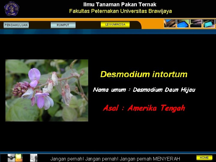 Ilmu Tanaman Pakan Ternak Fakultas Peternakan Universitas Brawijaya PENDAHULUAN RUMPUT LEGUMINOSA Jangan pernah! Jangan