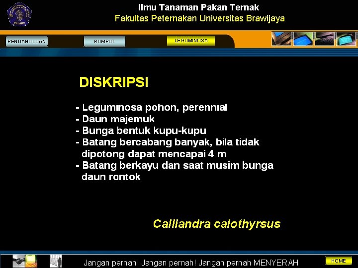 Ilmu Tanaman Pakan Ternak Fakultas Peternakan Universitas Brawijaya PENDAHULUAN RUMPUT LEGUMINOSA Calliandra calothyrsus Jangan