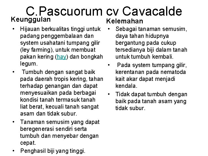 C. Pascuorum cv Cavacalde Keunggulan Kelemahan • Hijauan berkualitas tinggi untuk • Sebagai tanaman