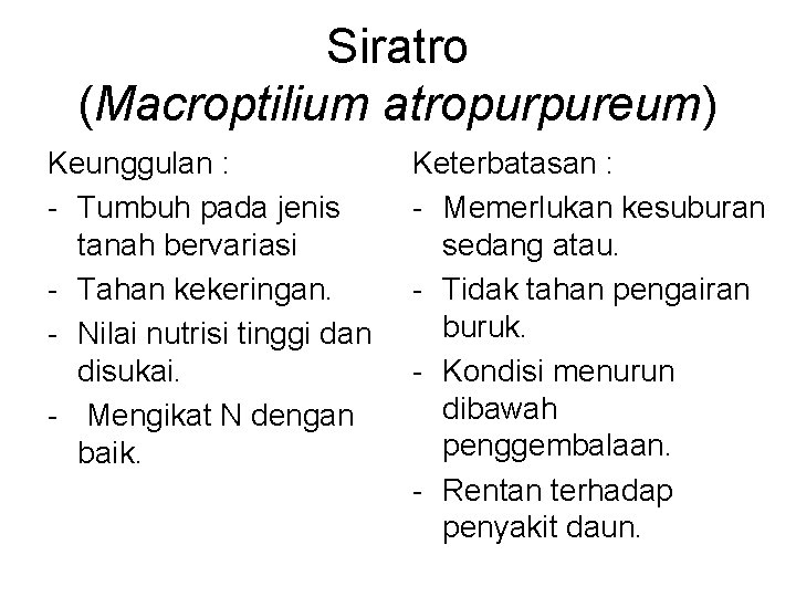 Siratro (Macroptilium atropurpureum) Keunggulan : - Tumbuh pada jenis tanah bervariasi - Tahan kekeringan.