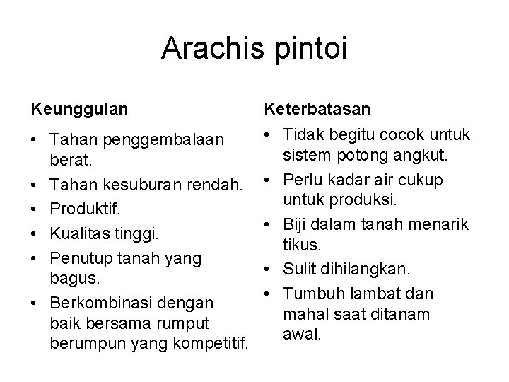 Arachis pintoi Keunggulan Keterbatasan • Tahan penggembalaan berat. • Tahan kesuburan rendah. • Produktif.