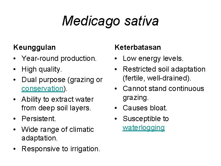 Medicago sativa Keunggulan Keterbatasan • Year-round production. • High quality. • Dual purpose (grazing
