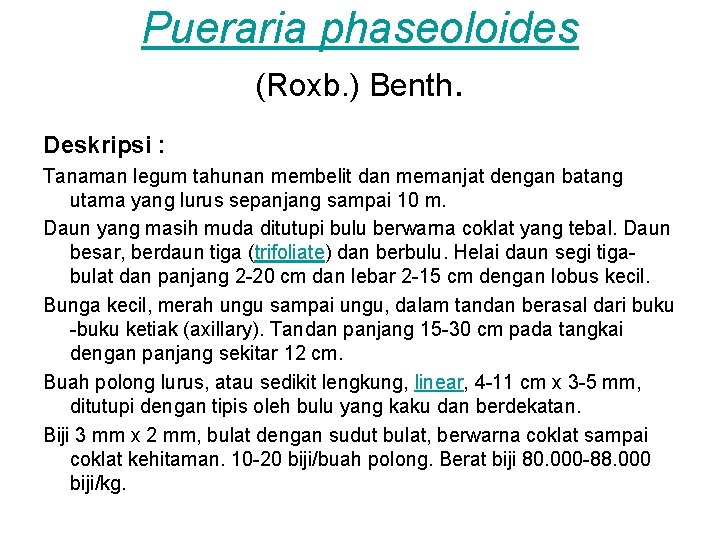 Pueraria phaseoloides (Roxb. ) Benth. Deskripsi : Tanaman legum tahunan membelit dan memanjat dengan