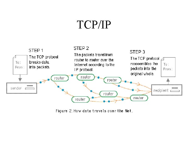 TCP/IP TCP/IP