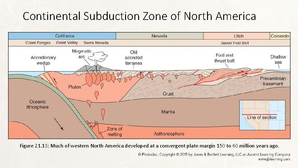 Continental Subduction Zone of North America Figure 21. 13: Much of western North America