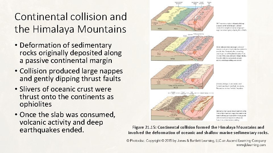 Continental collision and the Himalaya Mountains • Deformation of sedimentary rocks originally deposited along