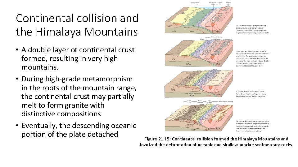 Continental collision and the Himalaya Mountains • A double layer of continental crust formed,