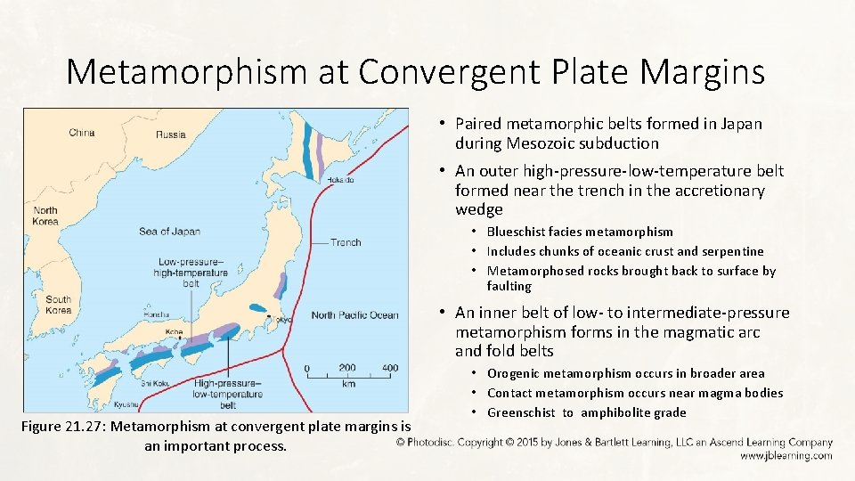 Metamorphism at Convergent Plate Margins • Paired metamorphic belts formed in Japan during Mesozoic