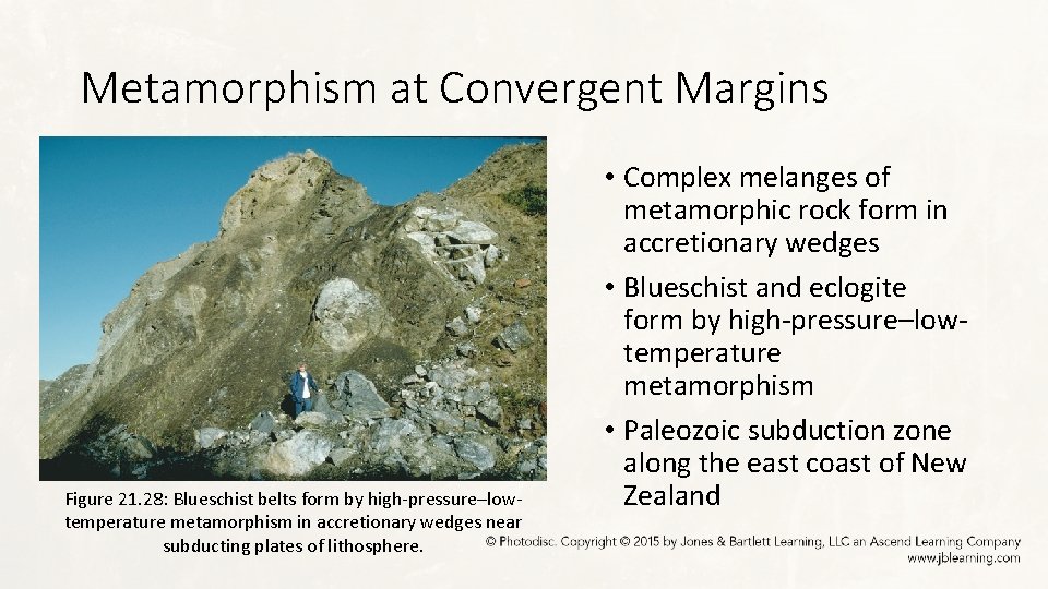 Metamorphism at Convergent Margins Figure 21. 28: Blueschist belts form by high-pressure–lowtemperature metamorphism in