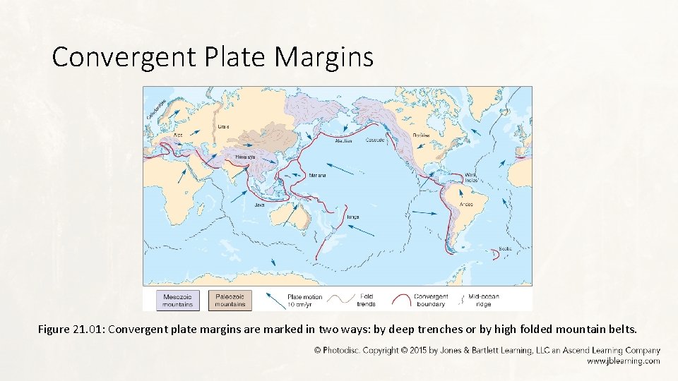Convergent Plate Margins Figure 21. 01: Convergent plate margins are marked in two ways: