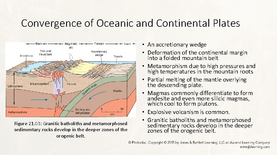 Convergence of Oceanic and Continental Plates Figure 21. 03: Granitic batholiths and metamorphosed sedimentary