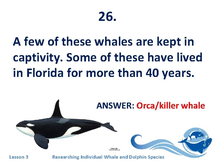26. A few of these whales are kept in captivity. Some of these have