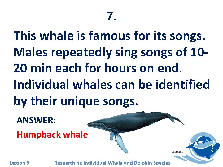 7. This whale is famous for its songs. Males repeatedly sing songs of 1020