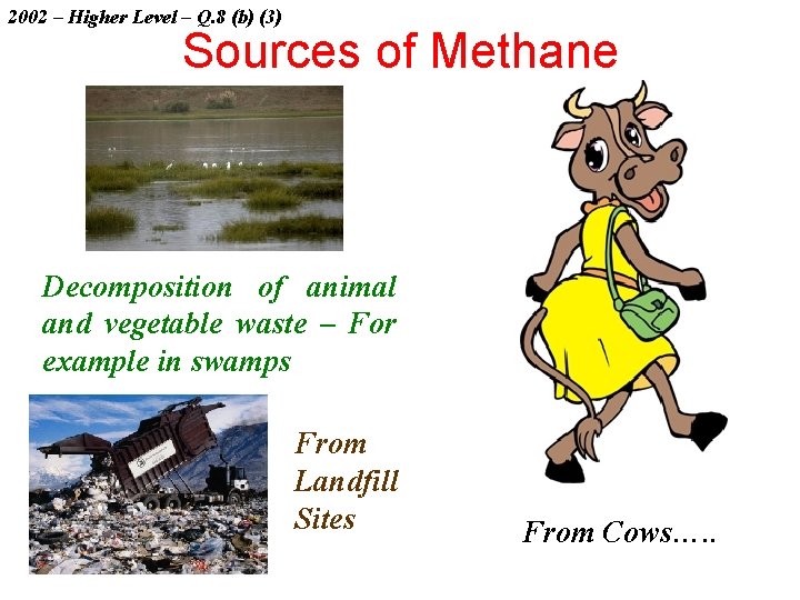 2002 – Higher Level – Q. 8 (b) (3) Sources of Methane Decomposition of