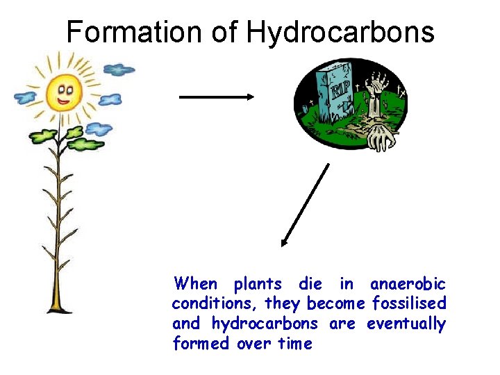 Formation of Hydrocarbons When plants die in anaerobic conditions, they become fossilised and hydrocarbons