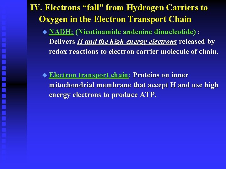 IV. Electrons “fall” from Hydrogen Carriers to Oxygen in the Electron Transport Chain u