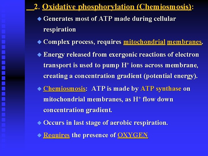 2. Oxidative phosphorylation (Chemiosmosis): u Generates most of ATP made during cellular respiration u