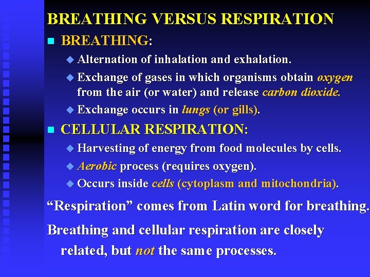BREATHING VERSUS RESPIRATION n BREATHING: u Alternation of inhalation and exhalation. u Exchange of