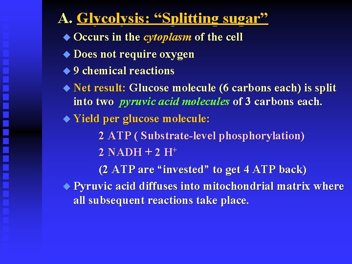 A. Glycolysis: “Splitting sugar” u Occurs in the cytoplasm of the cell u Does