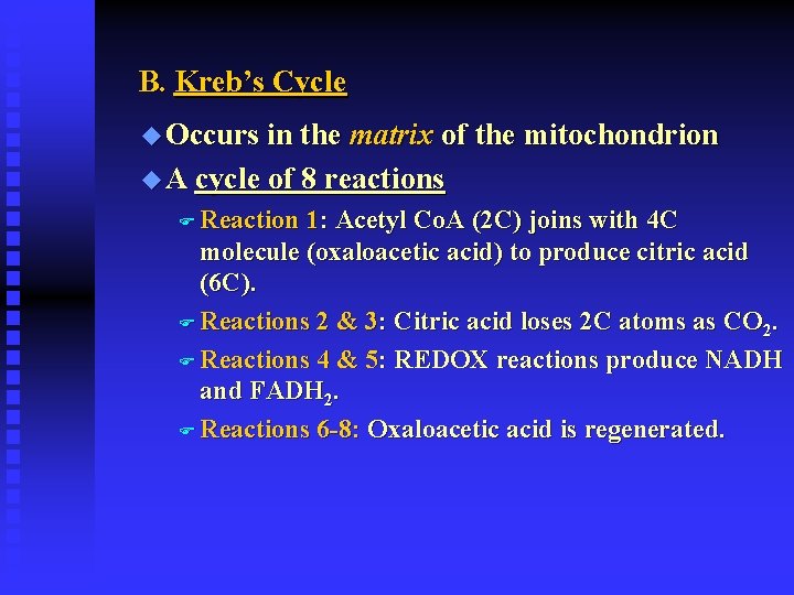 B. Kreb’s Cycle u Occurs in the matrix of the mitochondrion u A cycle