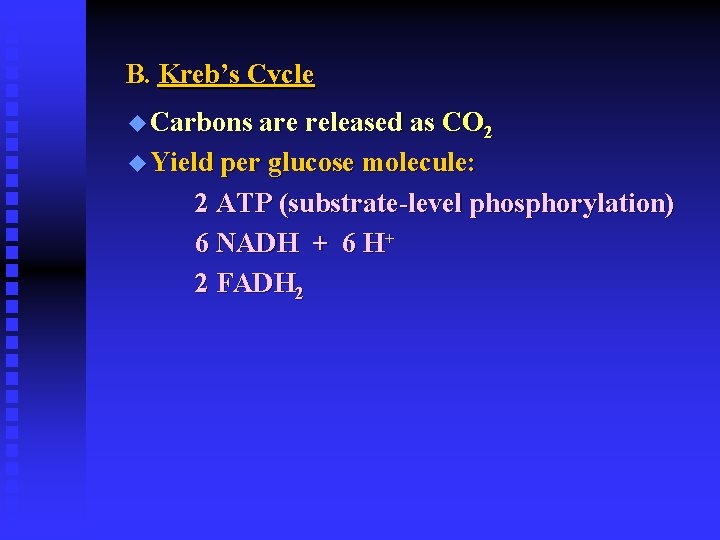 B. Kreb’s Cycle u Carbons are released as CO 2 u Yield per glucose