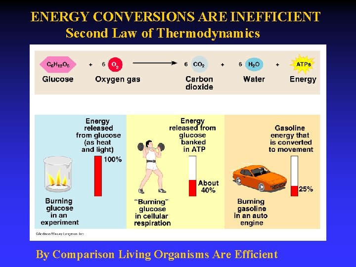 ENERGY CONVERSIONS ARE INEFFICIENT Second Law of Thermodynamics By Comparison Living Organisms Are Efficient