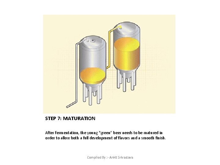 STEP 7: MATURATION After fermentation, the young “green” beer needs to be matured in