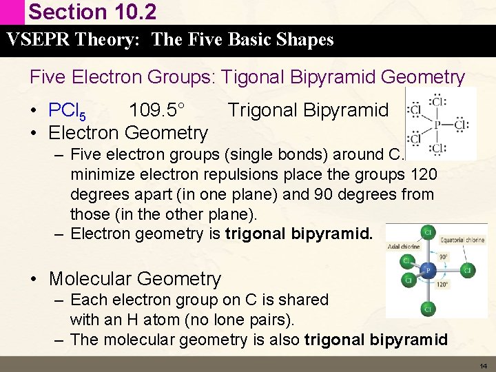Section 10. 2 VSEPR Theory: The Five Basic Shapes Five Electron Groups: Tigonal Bipyramid Section 10. 2 VSEPR Theory: The Five Basic Shapes Five Electron Groups: Tigonal Bipyramid