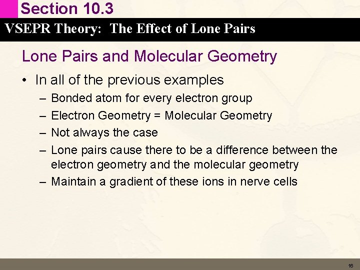 Section 10. 3 VSEPR Theory: The Effect of Lone Pairs and Molecular Geometry • Section 10. 3 VSEPR Theory: The Effect of Lone Pairs and Molecular Geometry •