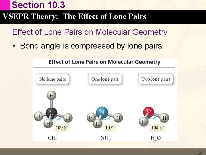 Section 10. 3 VSEPR Theory: The Effect of Lone Pairs on Molecular Geometry • Section 10. 3 VSEPR Theory: The Effect of Lone Pairs on Molecular Geometry •