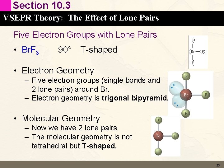 Section 10. 3 VSEPR Theory: The Effect of Lone Pairs Five Electron Groups with Section 10. 3 VSEPR Theory: The Effect of Lone Pairs Five Electron Groups with