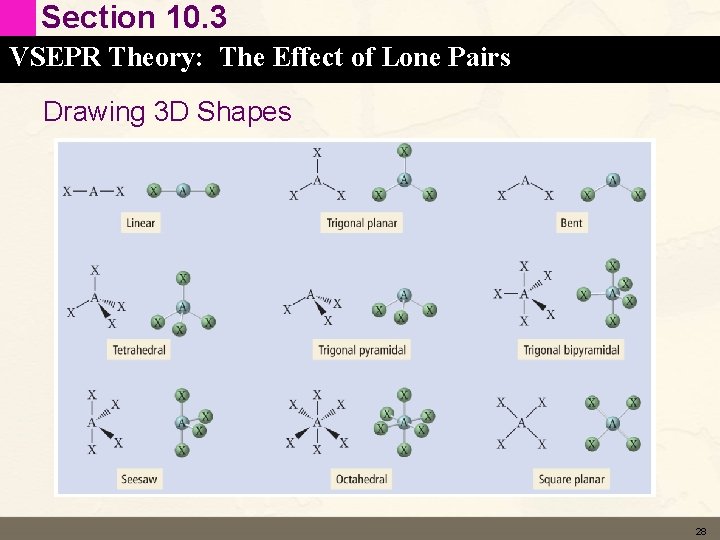 Section 10. 3 VSEPR Theory: The Effect of Lone Pairs Drawing 3 D Shapes Section 10. 3 VSEPR Theory: The Effect of Lone Pairs Drawing 3 D Shapes