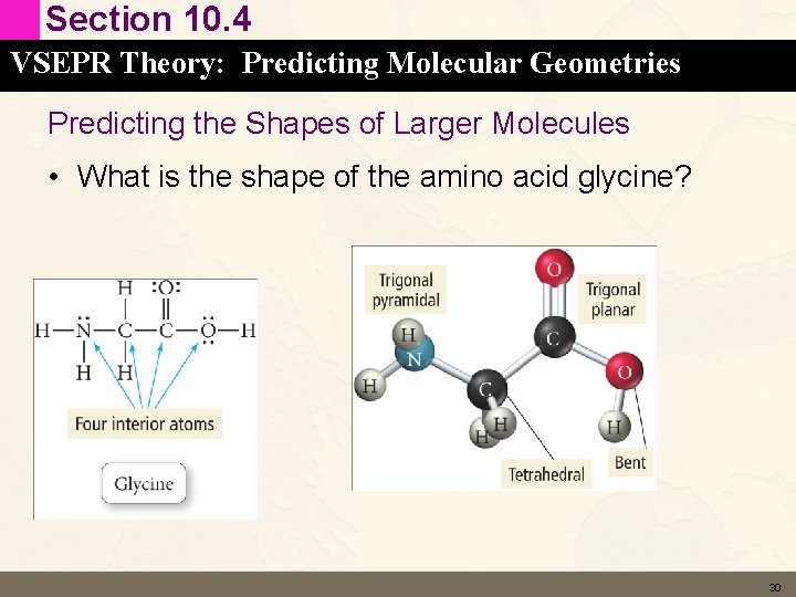 Section 10. 4 VSEPR Theory: Predicting Molecular Geometries Predicting the Shapes of Larger Molecules Section 10. 4 VSEPR Theory: Predicting Molecular Geometries Predicting the Shapes of Larger Molecules
