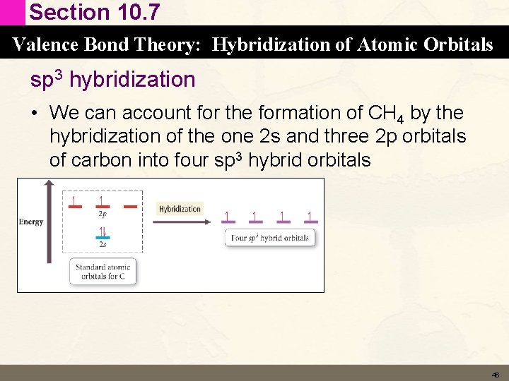Section 10. 7 Valence Bond Theory: Hybridization of Atomic Orbitals sp 3 hybridization • Section 10. 7 Valence Bond Theory: Hybridization of Atomic Orbitals sp 3 hybridization •